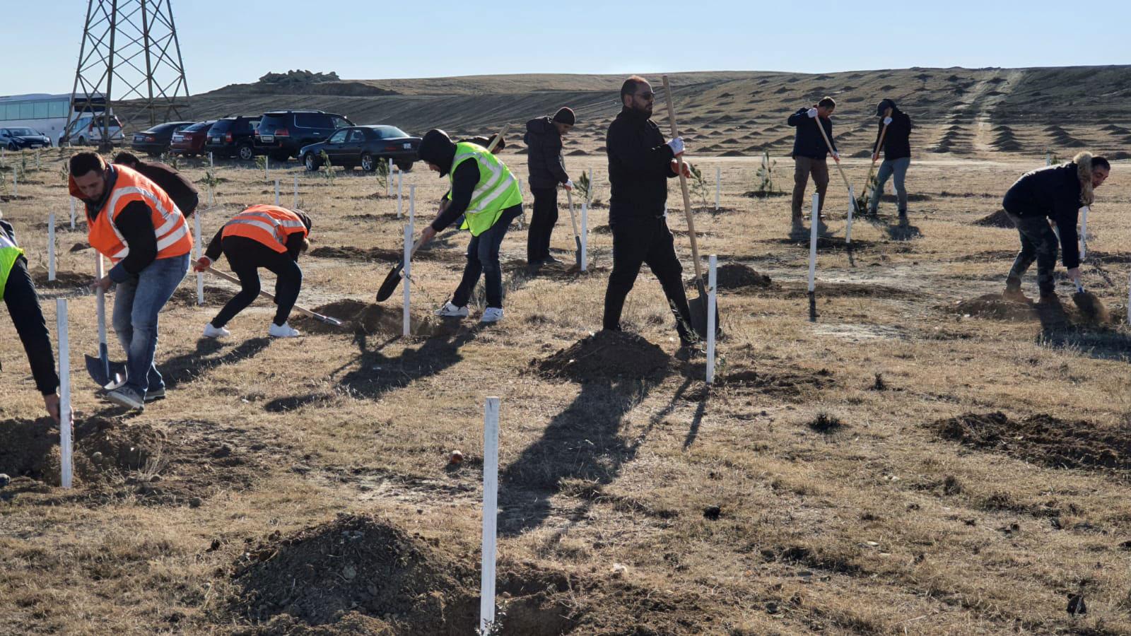 SOCAR-KBR joint venture team planting trees