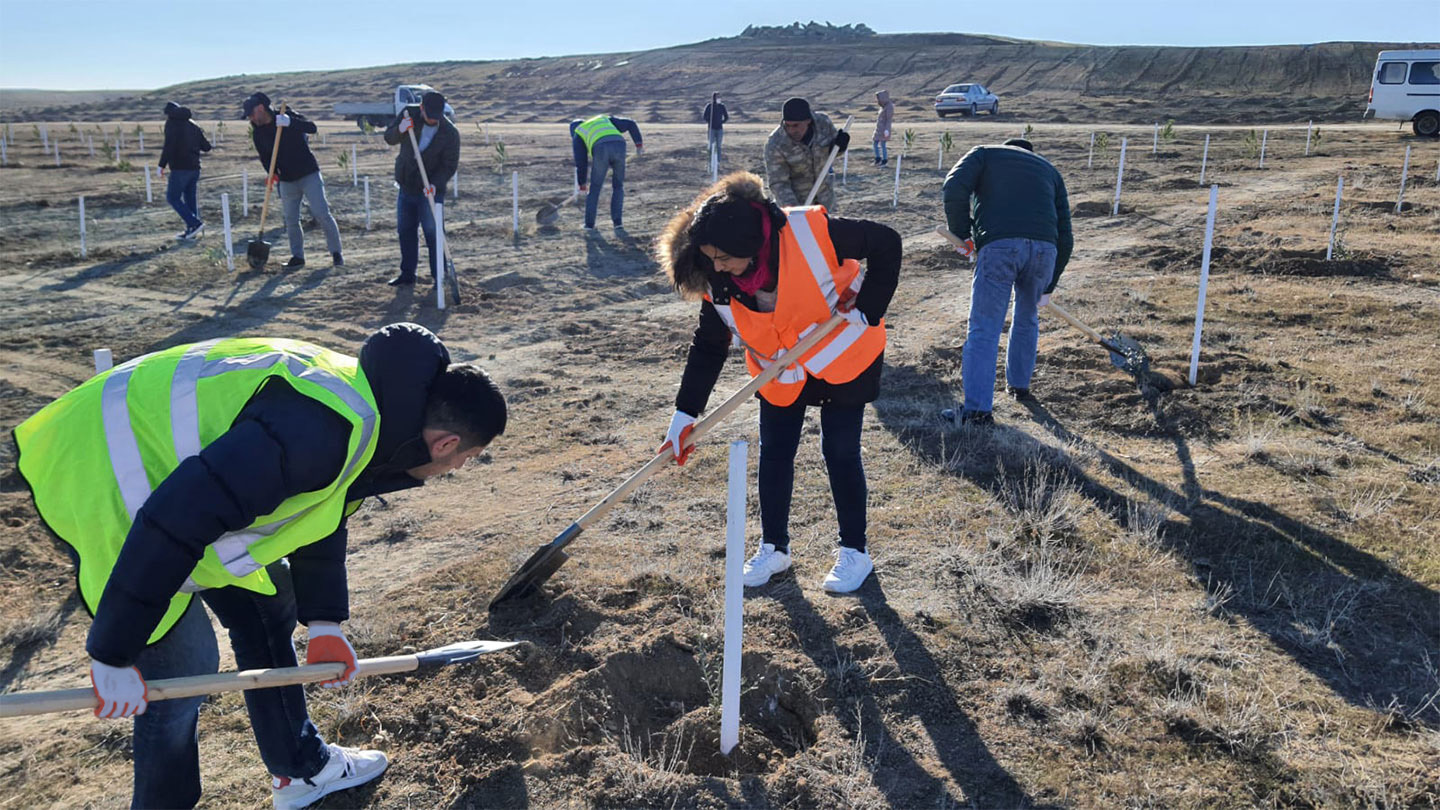 SOCAR-KBR joint venture team plant 1000 Trees Baku Azerbaijan